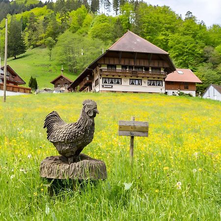 Hotel Josenhof Wolfach Exteriér fotografie