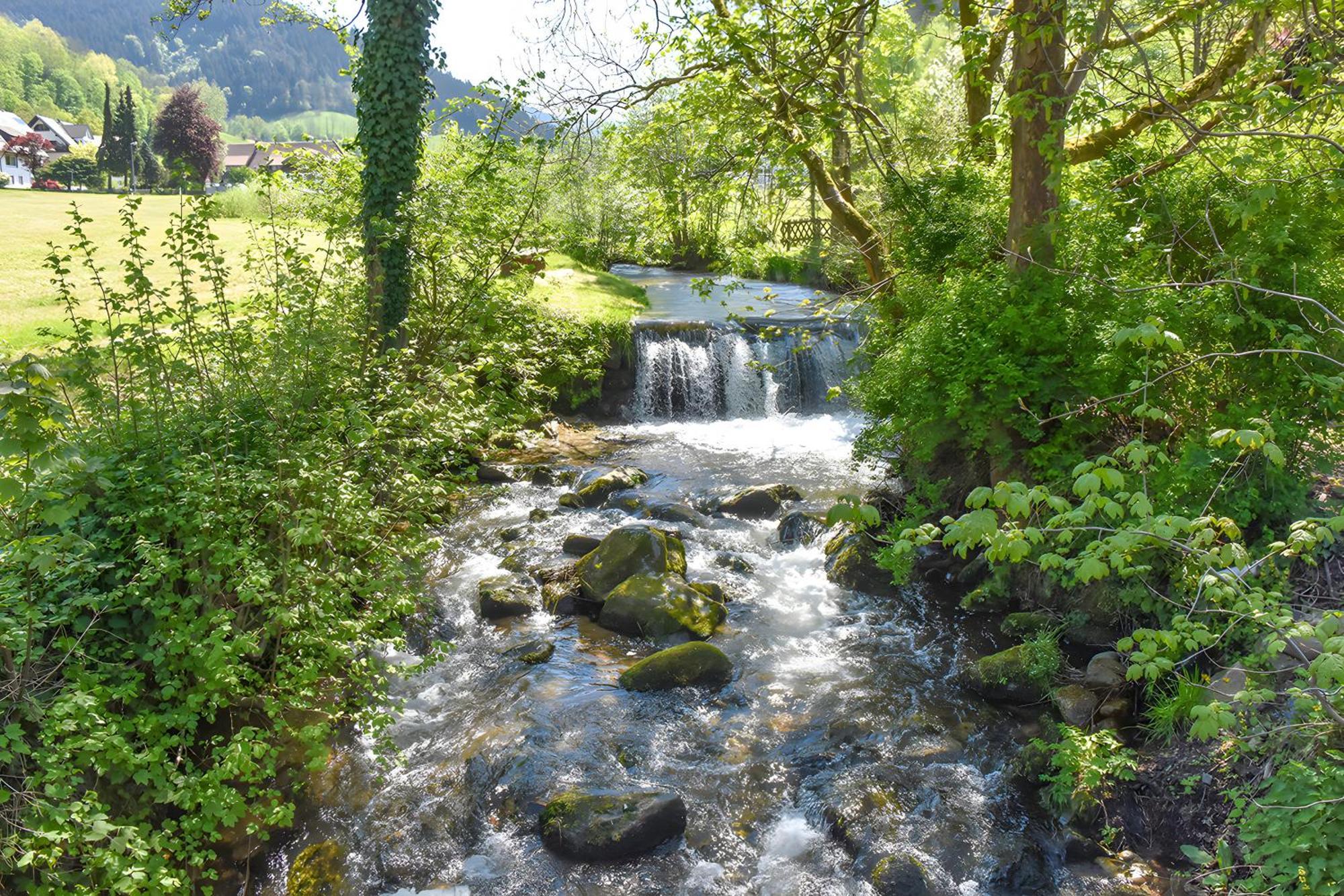 Hotel Josenhof Wolfach Exteriér fotografie