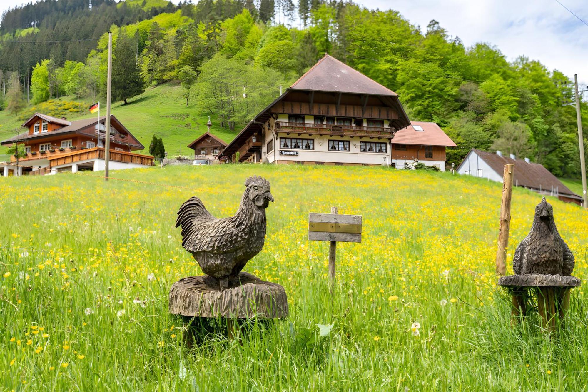 Hotel Josenhof Wolfach Exteriér fotografie